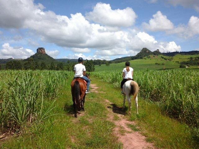 Horseback Riding